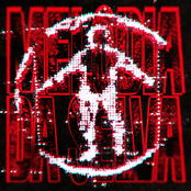 MELODIA DA SELVA (Tiktok Versions)