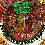 Lymphatic Phlegm / I Shit On Your Face - Split EP