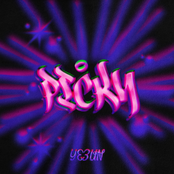Picky (Feat. BANG YONGGUK)