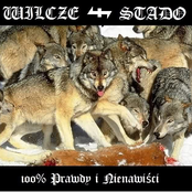 100% prawdy i nienawisci