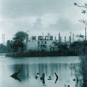 If One Of These Bottles Should Happen To Fall: Jersey Songs by Tris McCall