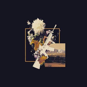 Brittney Chantele: The Golden Opportunity