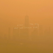 WHAT THE HELL ARE WE DYING FOR ?