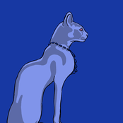 The Greys with Strings