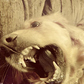 waiting room x fix you