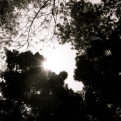 Embracing Serenity in a Sorrow