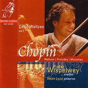Pieter Wispelwey: Cello Waltzes, vol. 1