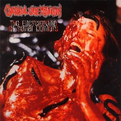 Encyclopedia Of Serial Murders