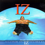 Alone in IZ World