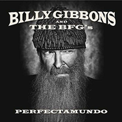 Billy Gibbons: Perfectamundo