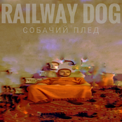 Собачий Плед