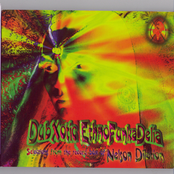 DubXoticEthnoFunkaDelia: Selections From The Record Box of Nelson Dialation