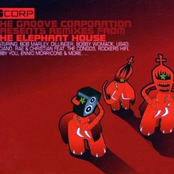 Remixes From The Elephant House