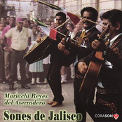 Mariachi Reyes Del Aserradero