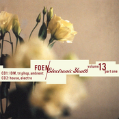 FOEM/Electronic Youth Vol. 13