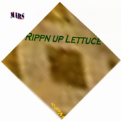 Rippn up Lettuce <-PM