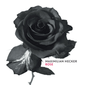 Rose by Maximilian Hecker