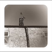 Black Winged Taker (Guitar Version)