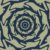 Flyktbeteendevetenskap