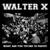 WHAT ARE YOU TRYING TO PROVE?