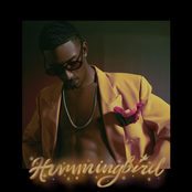 Black Party: Hummingbird
