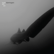 Damages