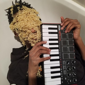 Please Do Not Listen to This Album