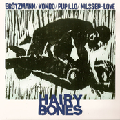 Hairy Bones