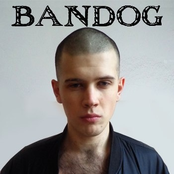 bandog