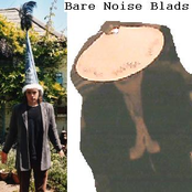 bare noise blads