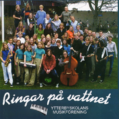 Ringar På Vattnet