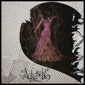 2009 Say! [Internet Single]