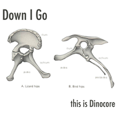 Pterodactyl by Down I Go