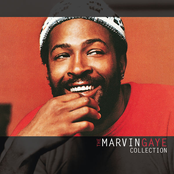 Exactly Like You by Marvin Gaye & Kim Weston