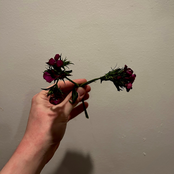 Observe Me As I Come Around