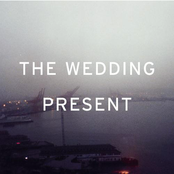 The Girl With The Curious Smile by The Wedding Present