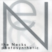 Photosynthetic by The Necks