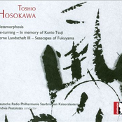 Hosokawa: Orchestral Works