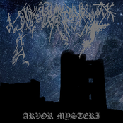 Arvor Mysteri