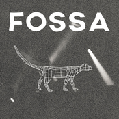 fossa beats