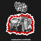 Emphysema Worldwide