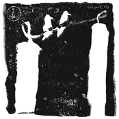 Bird You'll Fly - Single