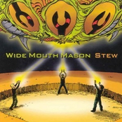 Wide Mouth Mason: Stew