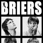 Briers