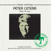 No Explanation by Peter Cetera