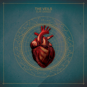 Begin Again by The Veils