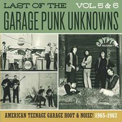 Last Of The Garage Punk Unknowns Vol 5&6