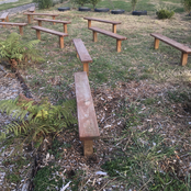 Bouncing The DinoBall On The Little Wooden Seats