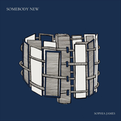 Sophia James: Somebody New