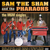 Big City Lights by Sam The Sham & The Pharaohs